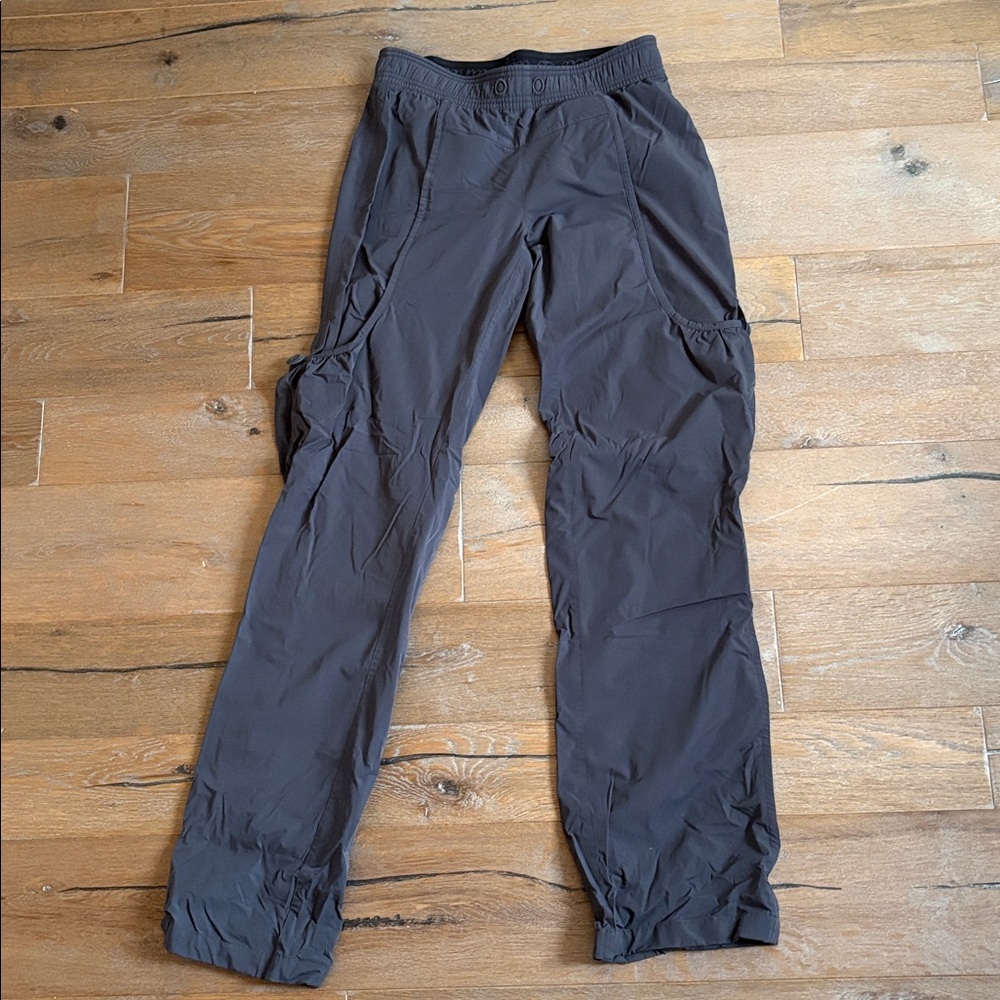 Lined lululemon pants - dog walker